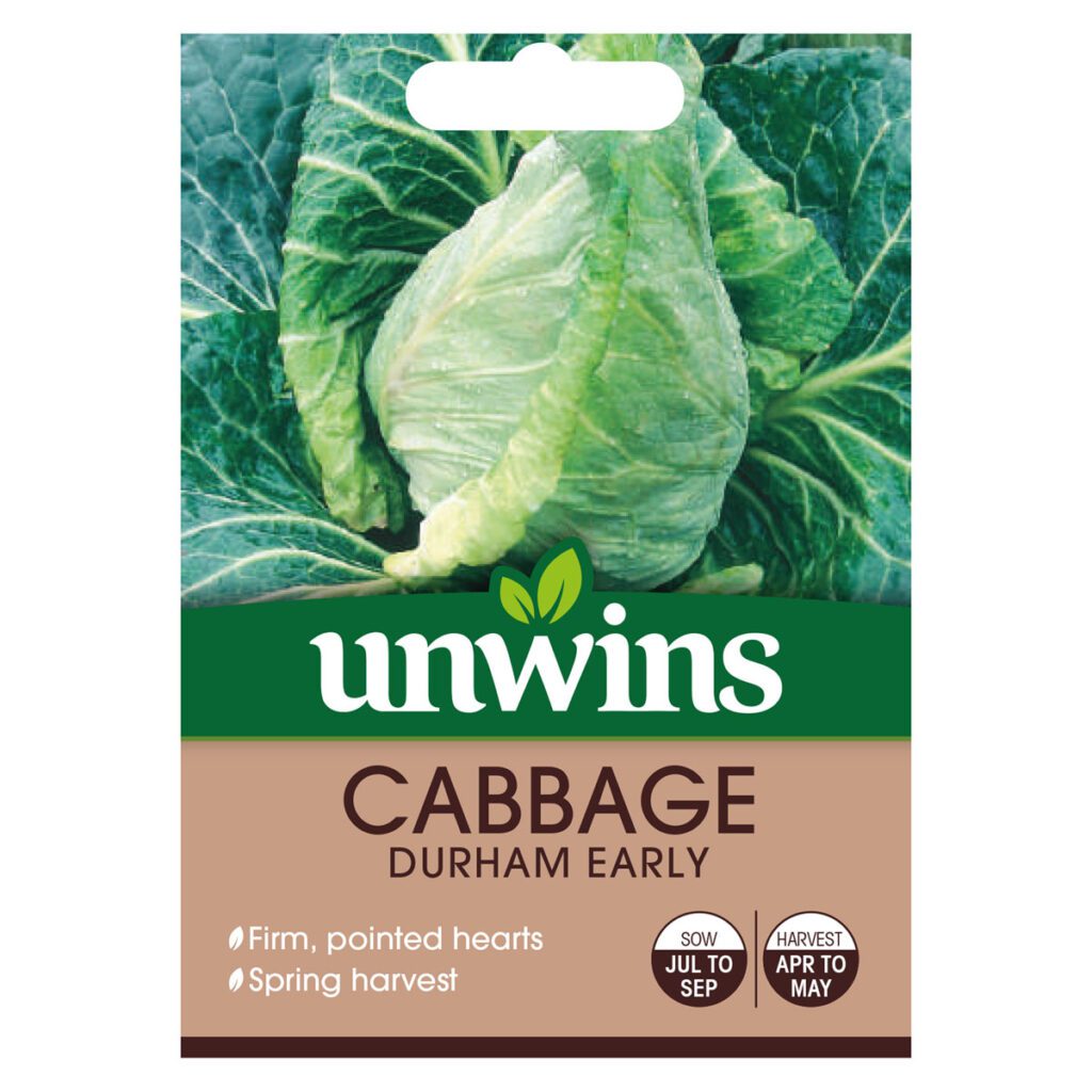 Unwins Cabbage Durham Early Seeds 5051618005517 2